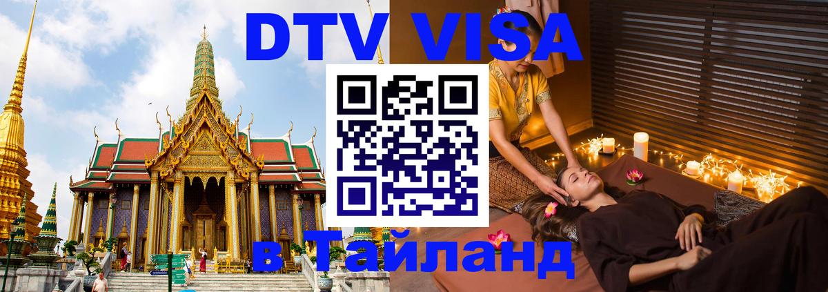 Сколько стоит DTV виза — актуальные цены, оформление даже без документов - Пушкино  20.11.2025 